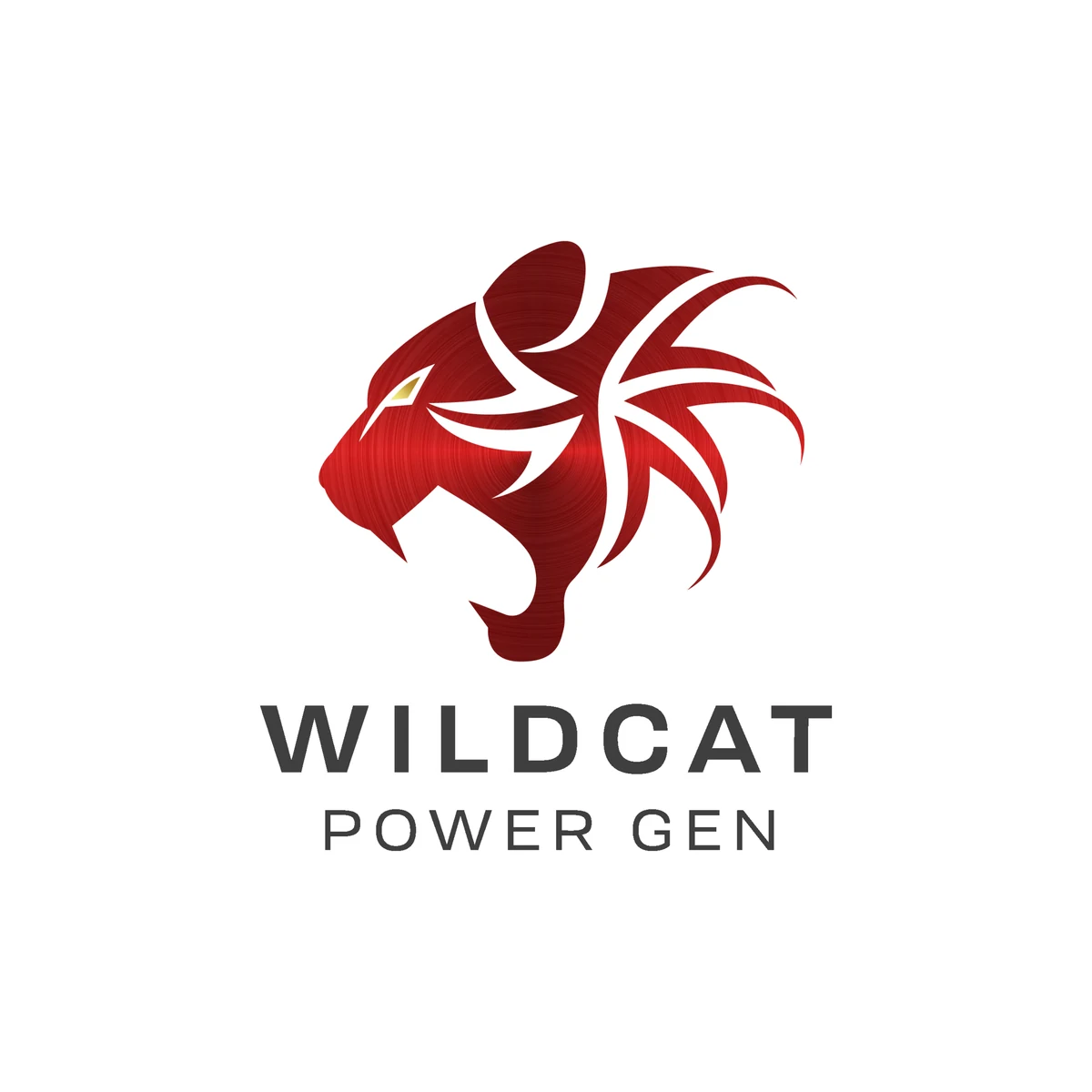 Wildcat Power Gen equipment products available from ForgeBay Equipment