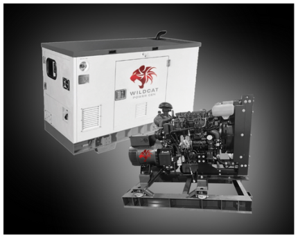 Wildcat Power Gen Wildcat RE0010D4 10kW Renegade 3ph Tier 4F Diesel Generator gallery image 2